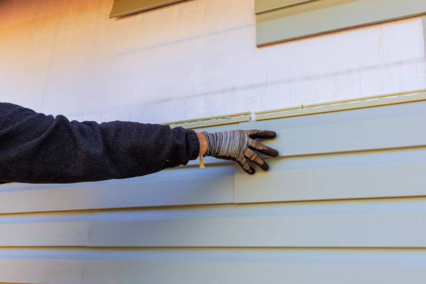 Best Aluminum Siding Installation  in Smithfield, NC